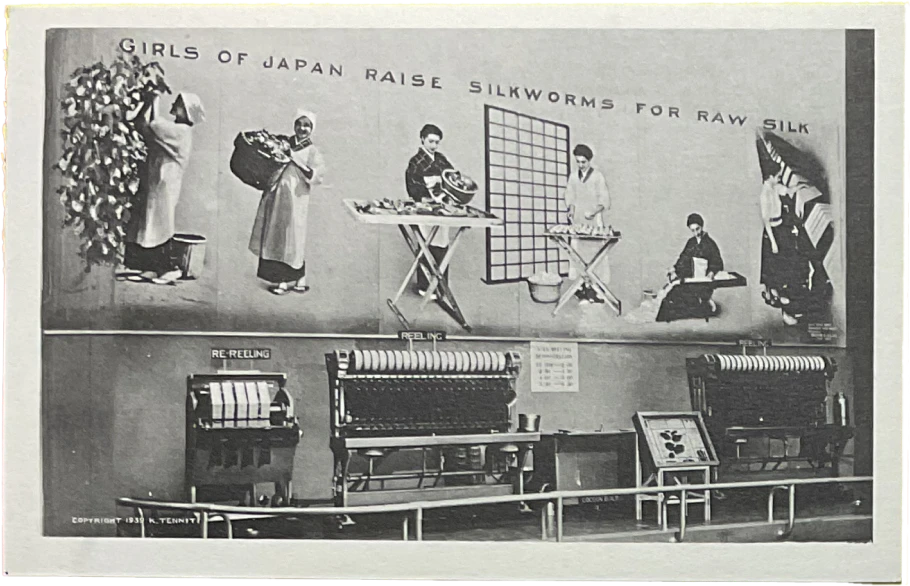 Manuscripts and Archives Division